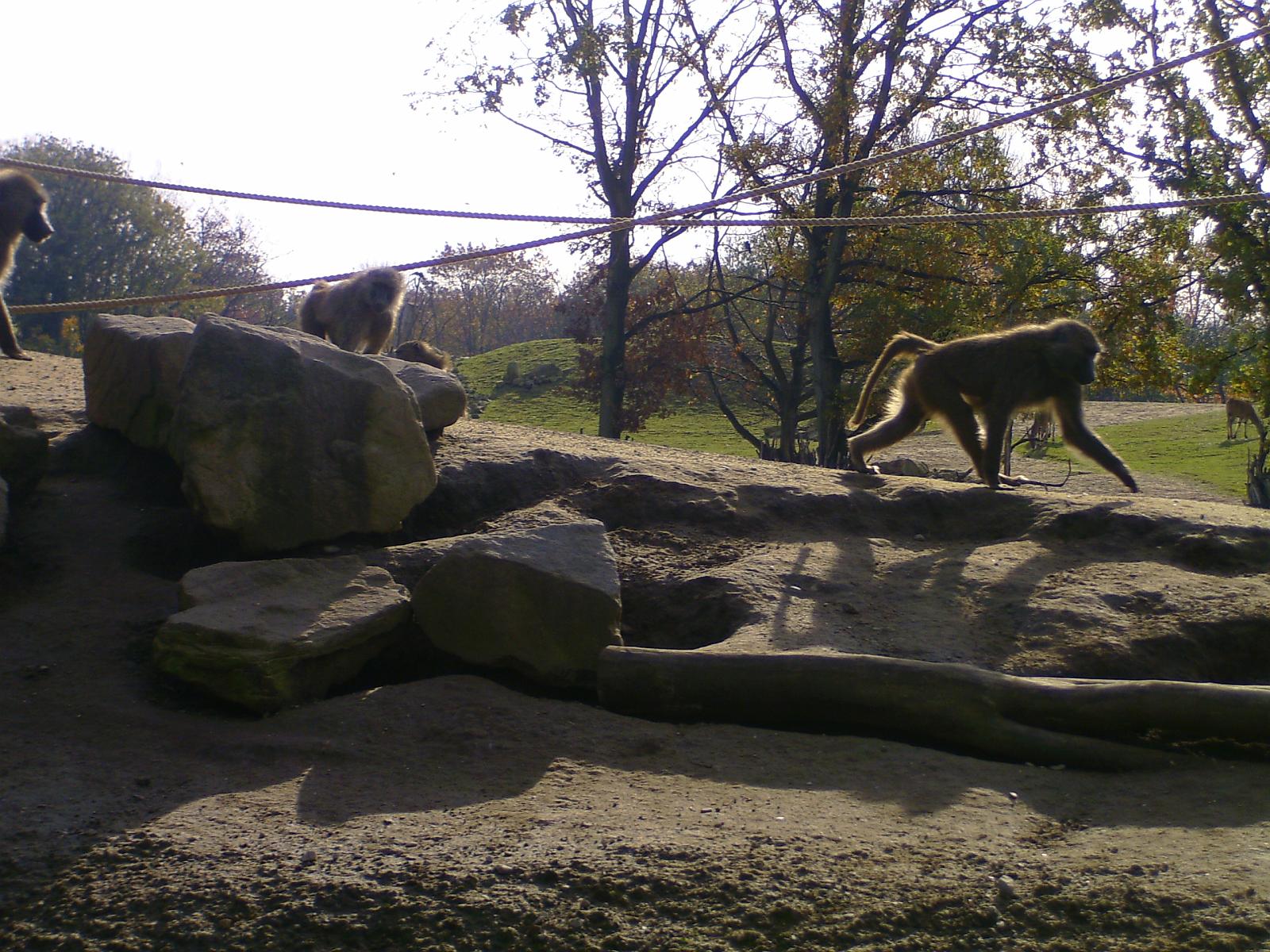 Zoom 18.10.08-115.jpg